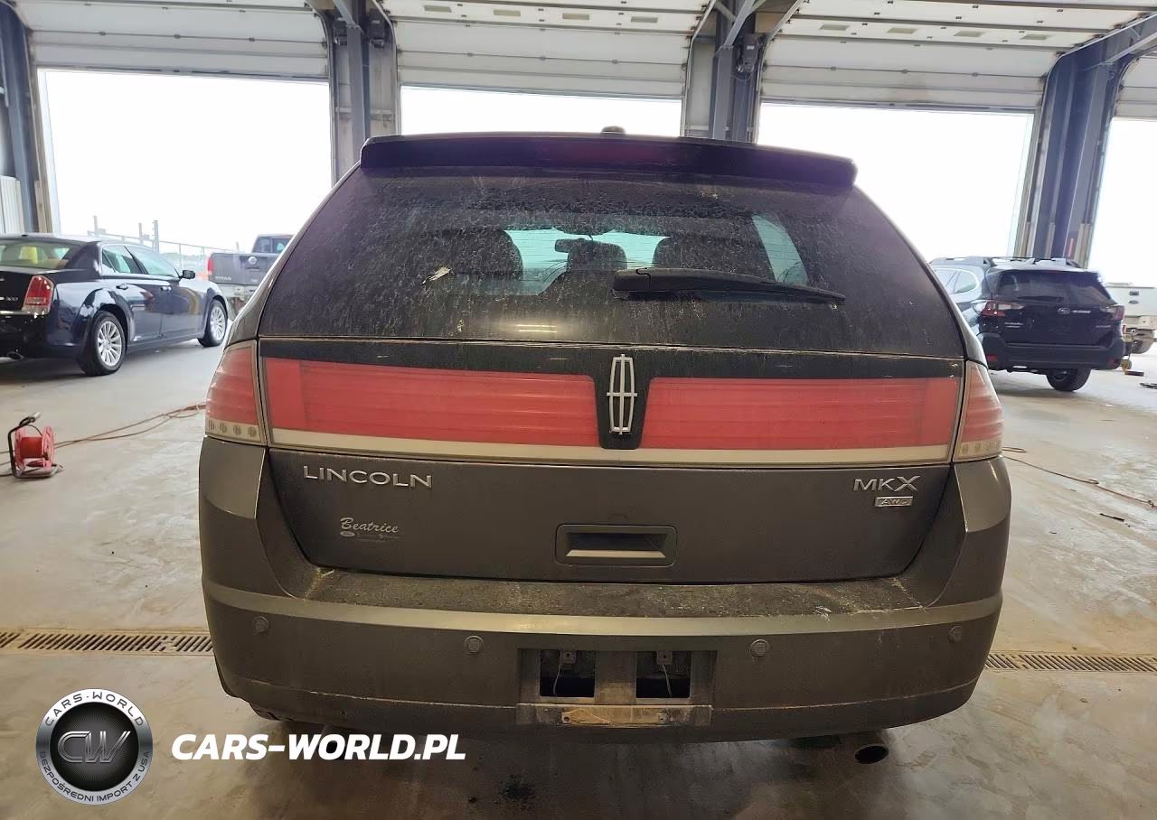 2010 Lincoln Mkx VIN:2LMDJ8JC0ABJ29247 - 6
