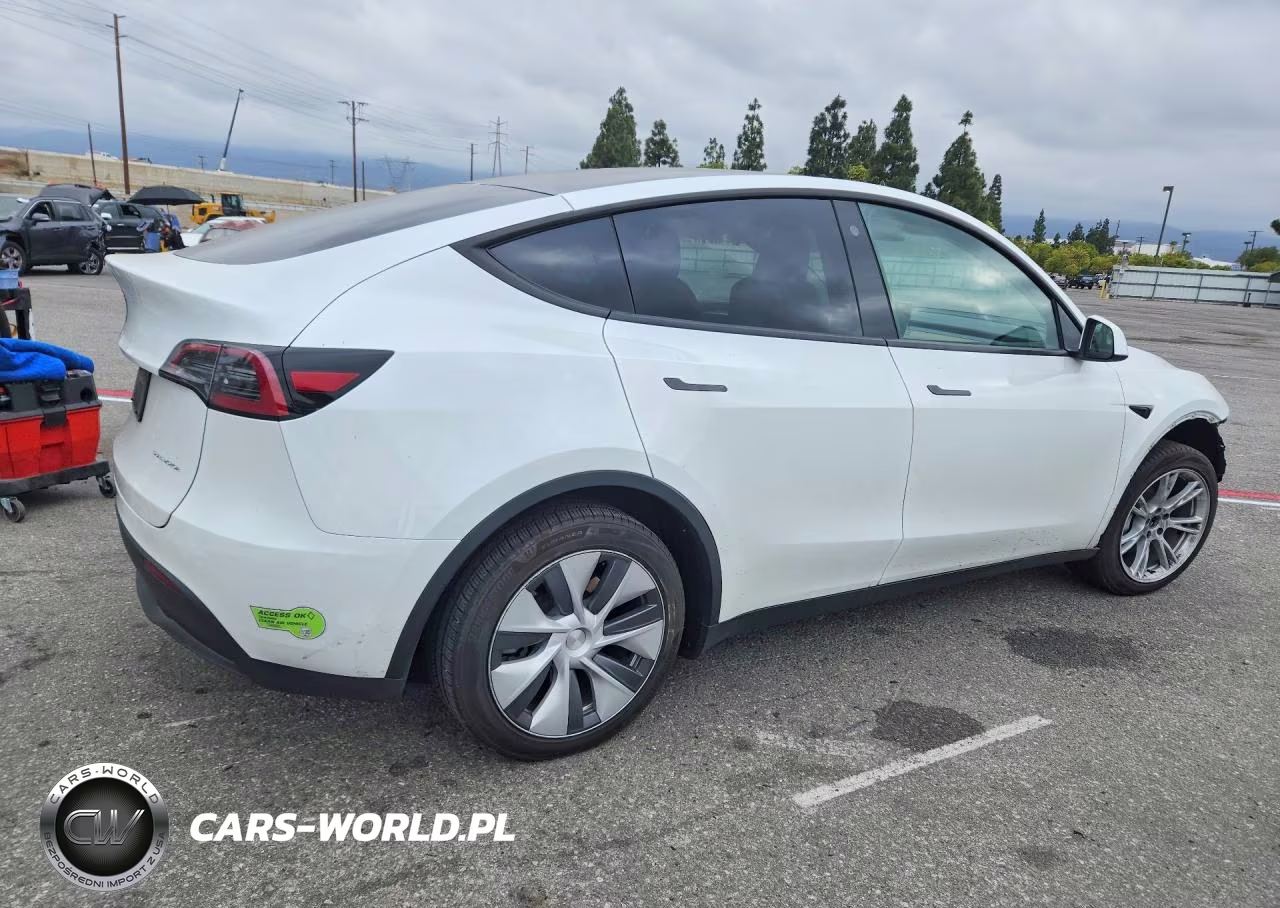 2023 Tesla Model Y VIN:7SAYGDEE5PA096147 - 3