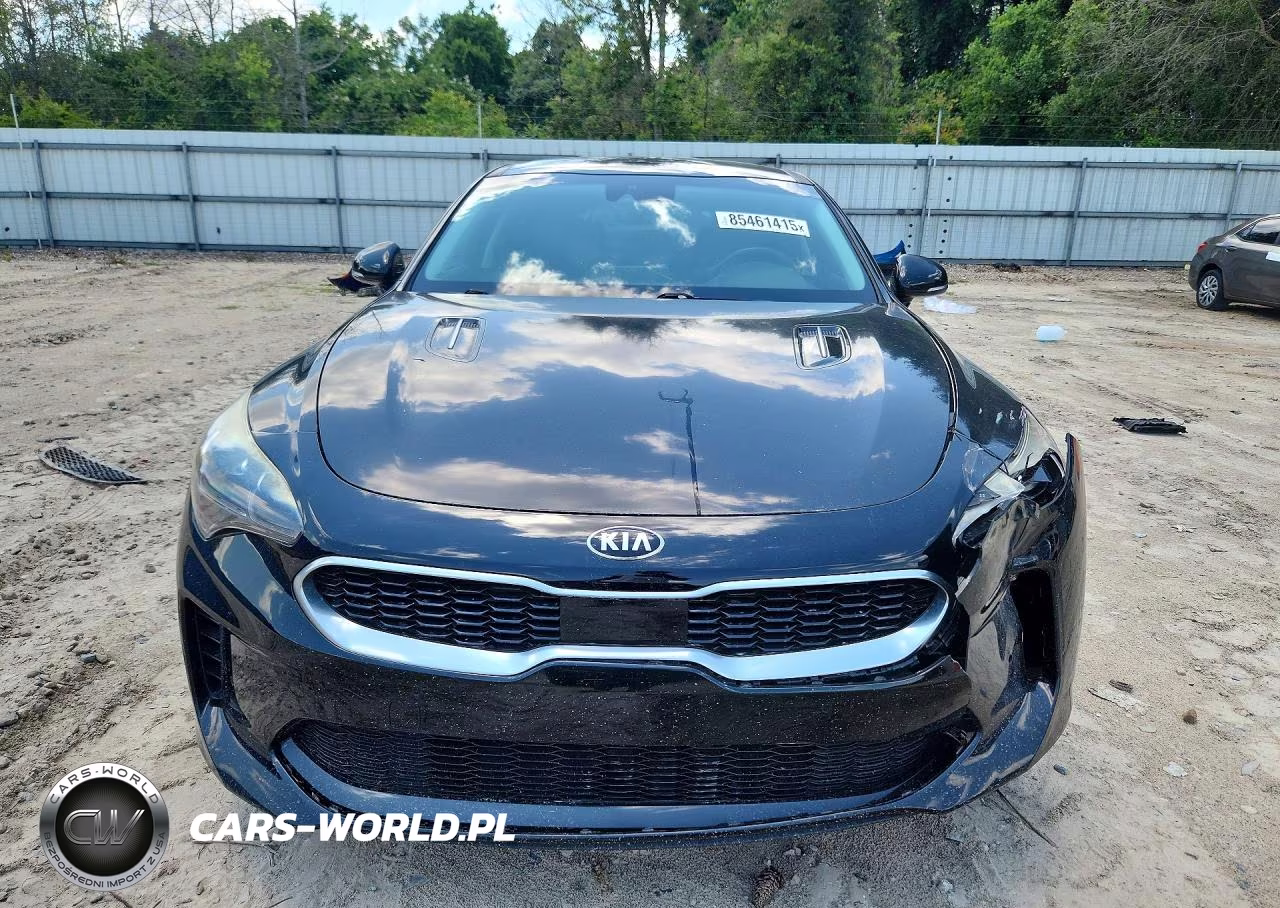 2018 Kia Stinger Premium VIN:KNAE25LAXJ6014226 - 5