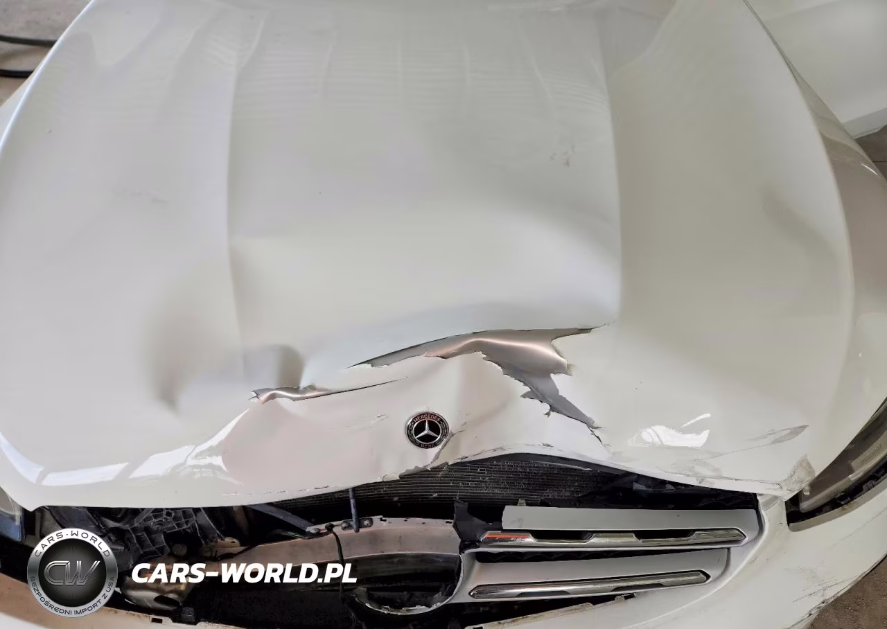 2020 Mercedes-Benz Glc 300 VIN:W1N0G8DB6LF785639 - 12