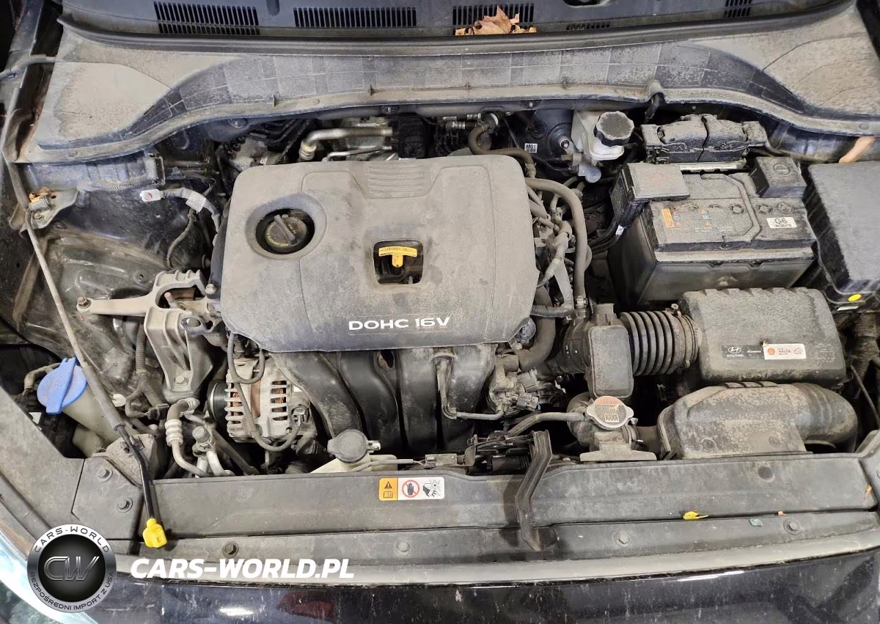 2019 Hyundai Kona Sel VIN:KM8K6CAA1KU321813 - 12