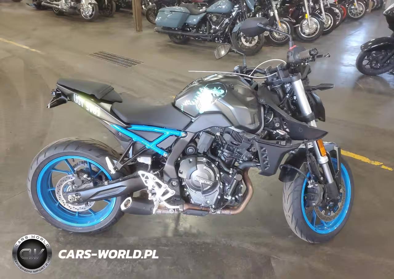 2024 Suzuki Gsx800 R