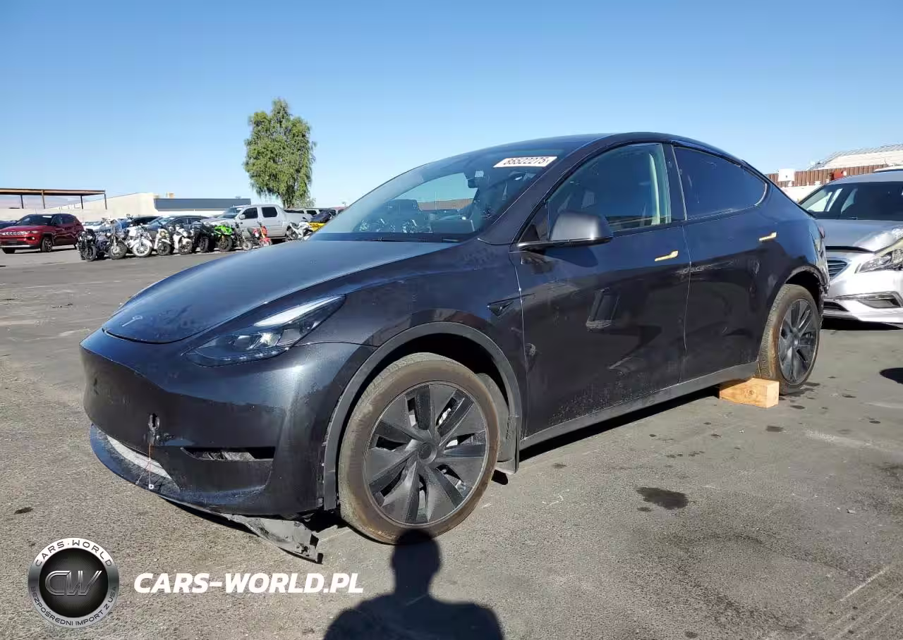 2025 Tesla Model Y