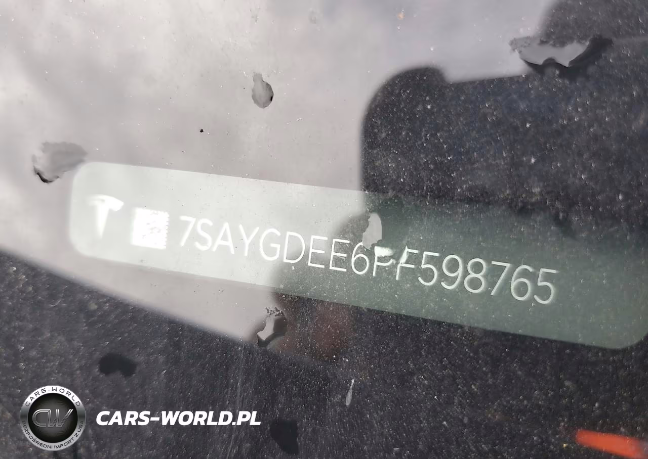 2023 Tesla Model Y VIN:7SAYGDEE6PF598765 - 12