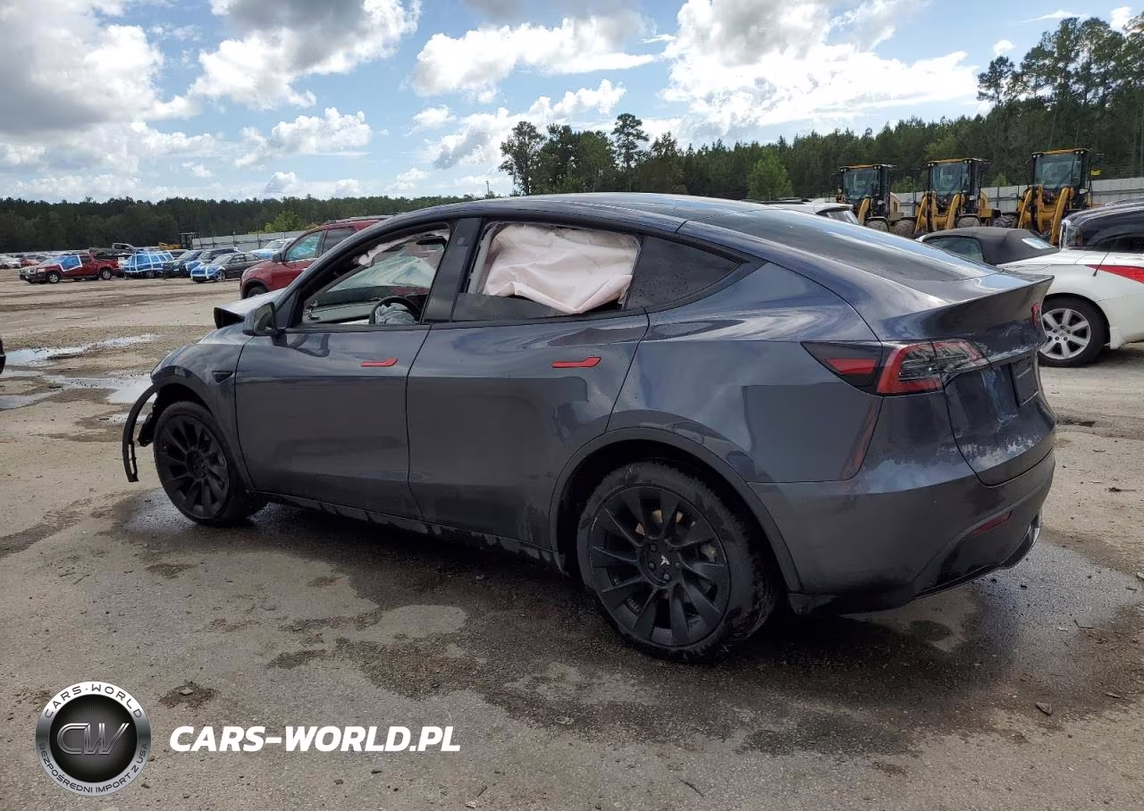 2023 Tesla Model Y VIN:7SAYGDEE6PF598765 - 2