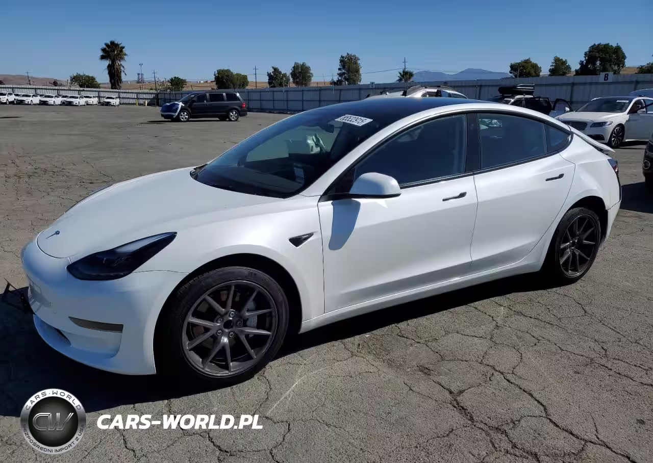 2023 Tesla Model 3