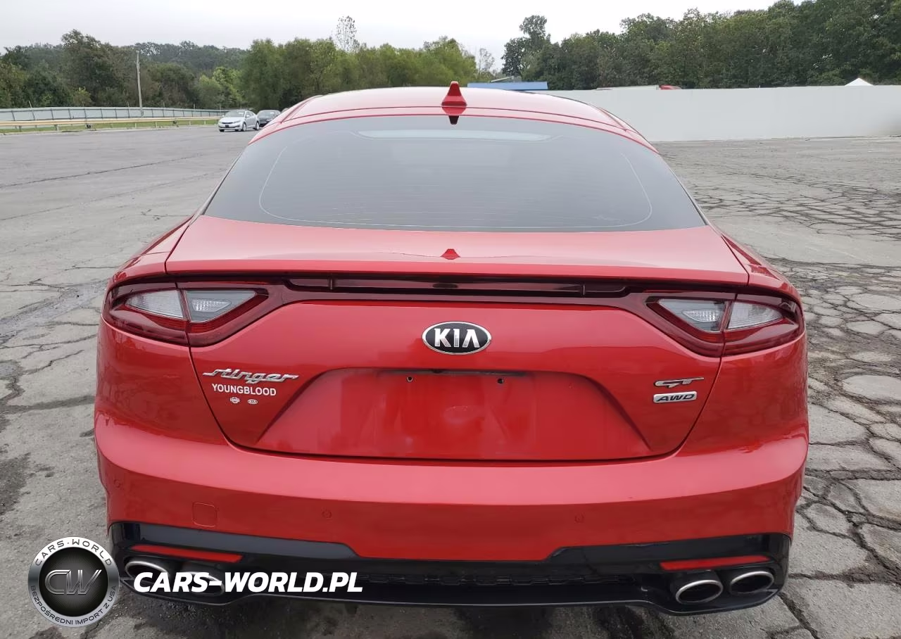 2018 Kia Stinger Gt2 VIN:KNAE55LC8J6020485 - 6