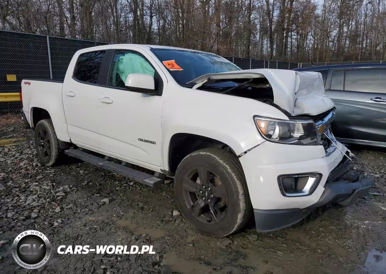 2016 Chevrolet Colorado Lt VIN:1GCGTCE35G1223424 - 4