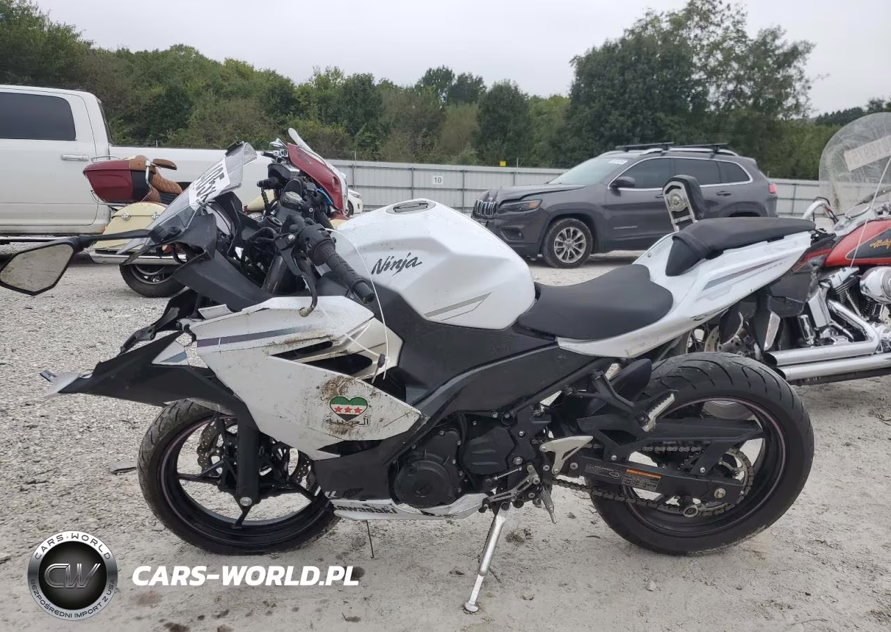 2023 Kawasaki Ex400 VIN:JKAEXKG10PDAM2129 - 3