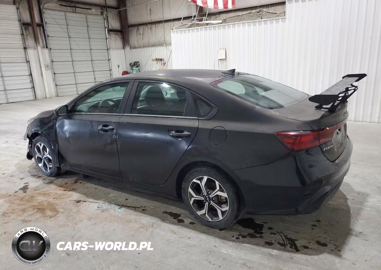 2022 Kia Forte Lxs VIN:3KPF24AD6NE422821 - 2