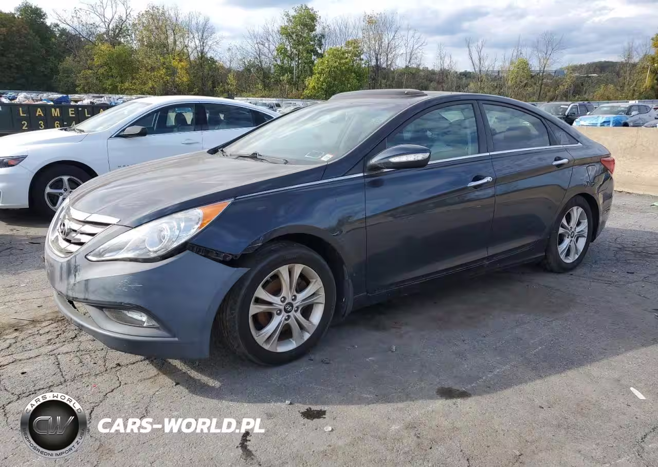 2013 Hyundai Sonata Se