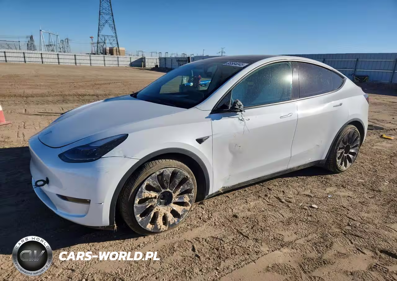 2023 Tesla Model Y