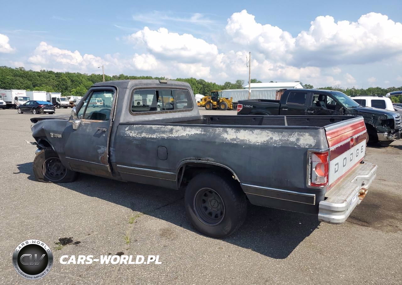 1989 Dodge D-Series D100 VIN:1B7FE06Y1KS178502 - 2