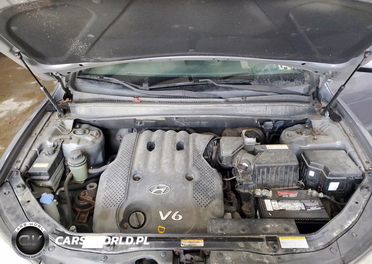 2007 Hyundai Santa Fe Gls VIN:5NMSG73D87H108954 - 12