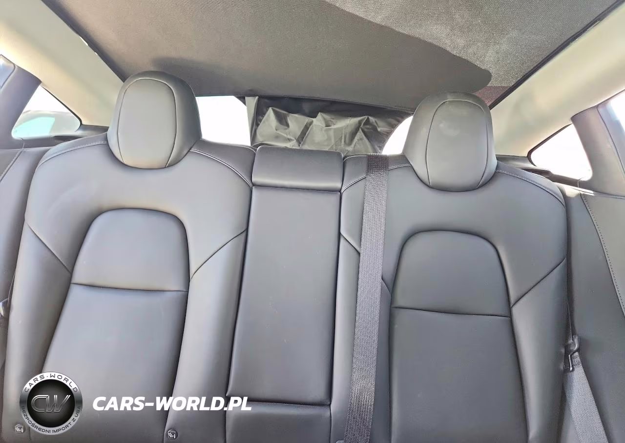 2020 Tesla Model 3 VIN:5YJ3E1EA8LF633311 - 10