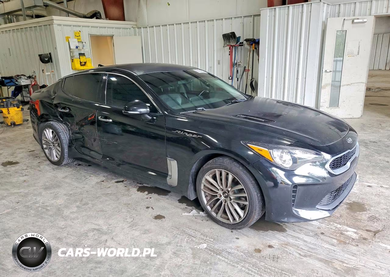 2018 Kia Stinger Base VIN:KNAE15LAXJ6013113 - 4