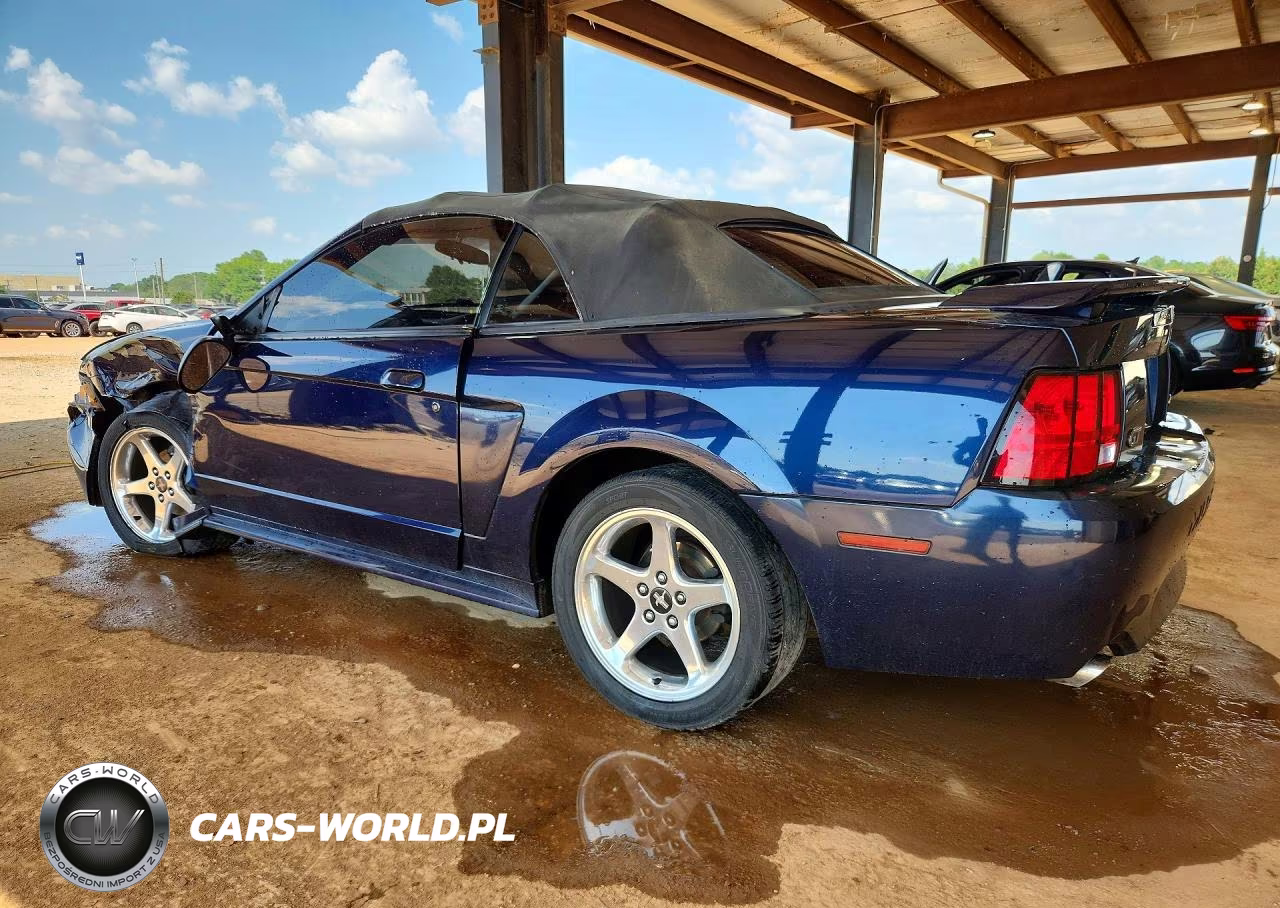 2003 Ford Mustang Gt VIN:1FAFP45X03F368690 - 2
