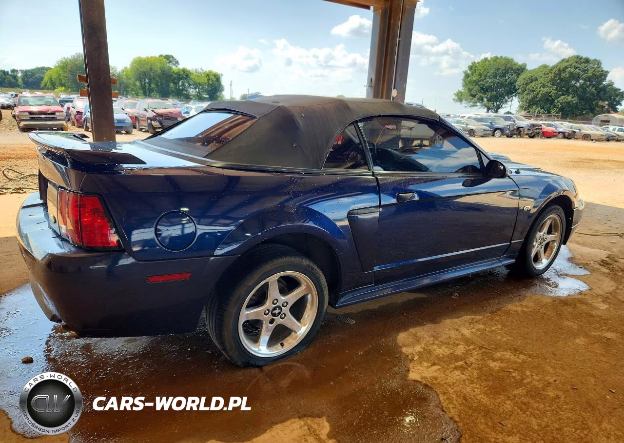 2003 Ford Mustang Gt VIN:1FAFP45X03F368690 - 3