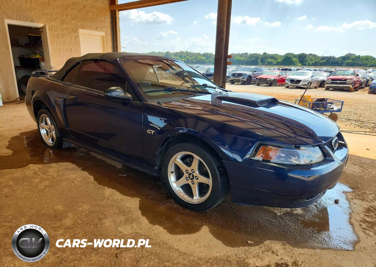 2003 Ford Mustang Gt VIN:1FAFP45X03F368690 - 4