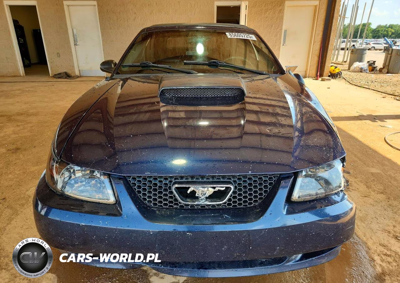 2003 Ford Mustang Gt VIN:1FAFP45X03F368690 - 5