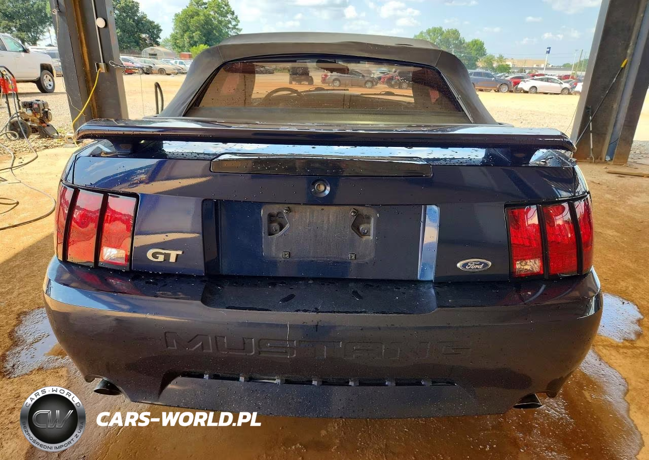 2003 Ford Mustang Gt VIN:1FAFP45X03F368690 - 6