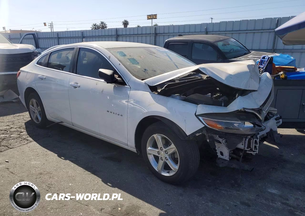 2019 Chevrolet Malibu Ls VIN:1G1ZB5ST3KF204600 - 4