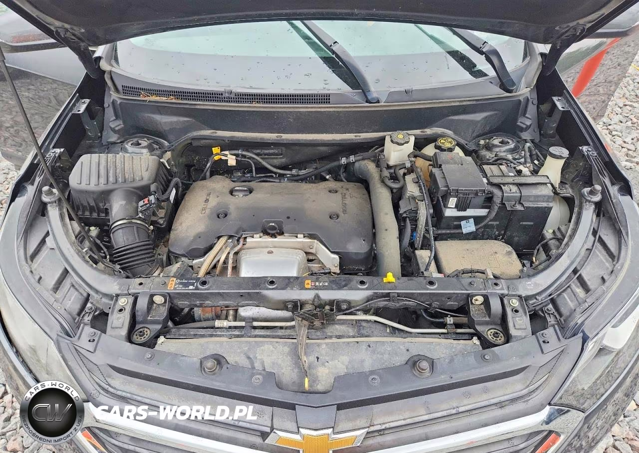 2019 Chevrolet Equinox Lt VIN:2GNAXLEX5K6169942 - 12