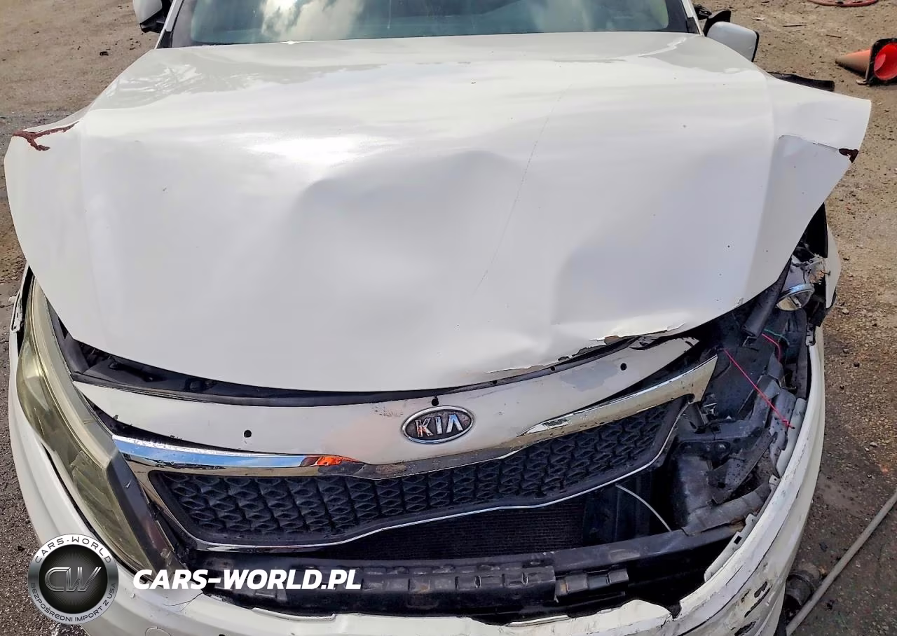 2011 Kia Optima Lx VIN:KNAGM4A77B5177394 - 11