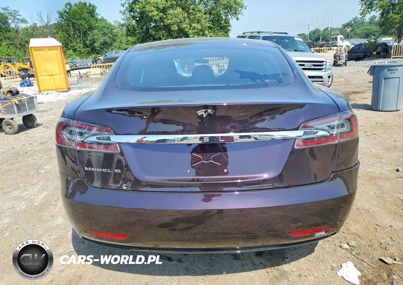 2016 Tesla Model S VIN:5YJSA1E13GF174122 - 6