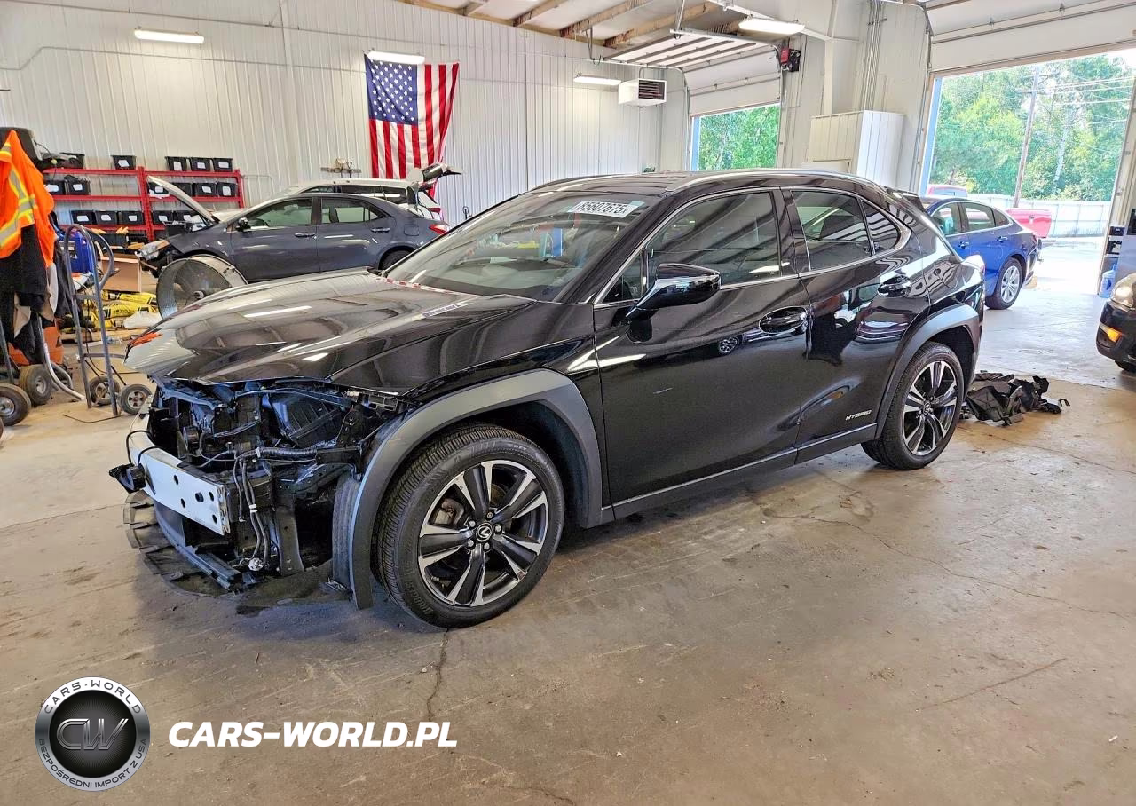2021 Lexus Ux 250H