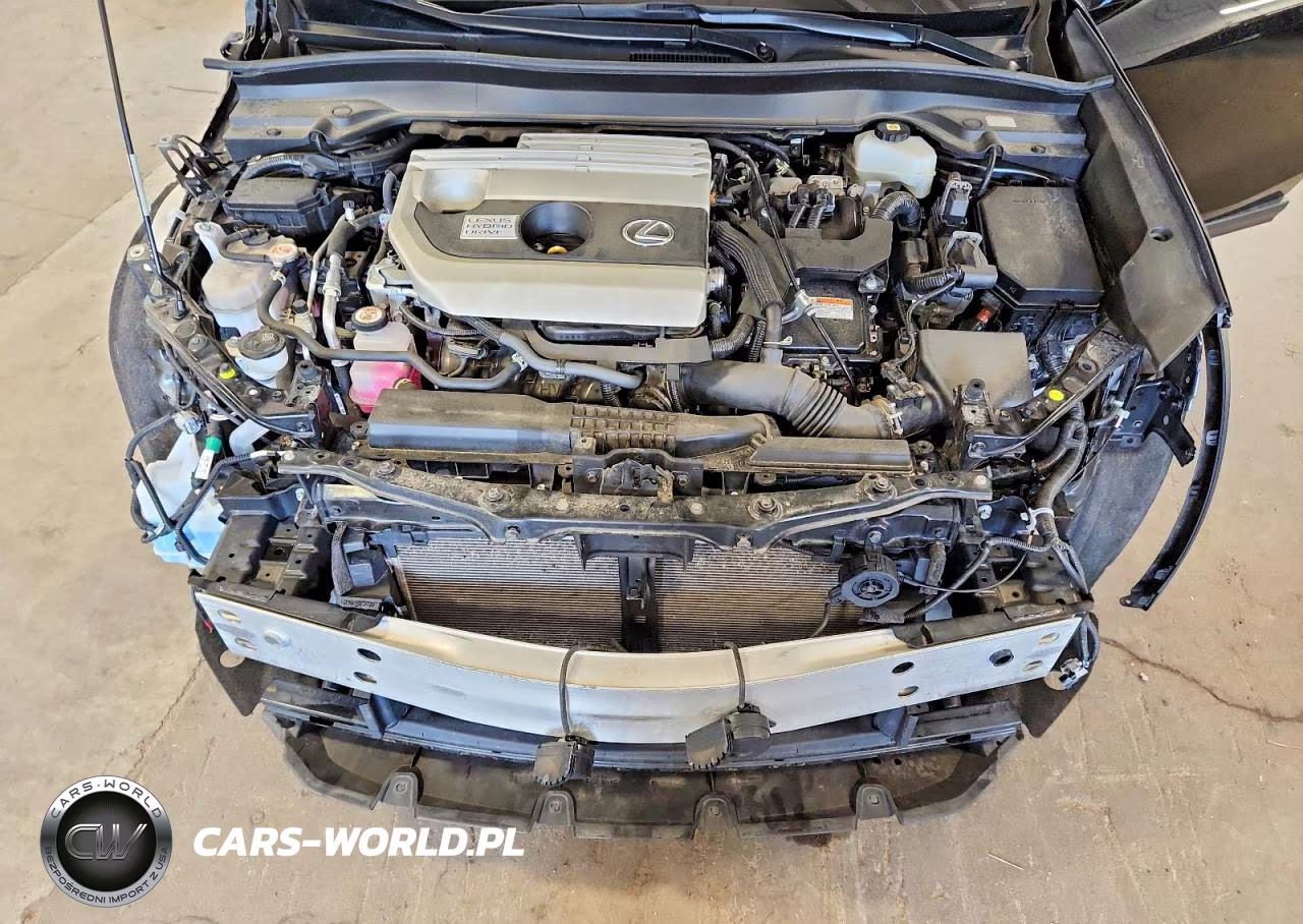 2021 Lexus Ux 250H VIN:JTHP9JBH4M2041981 - 12