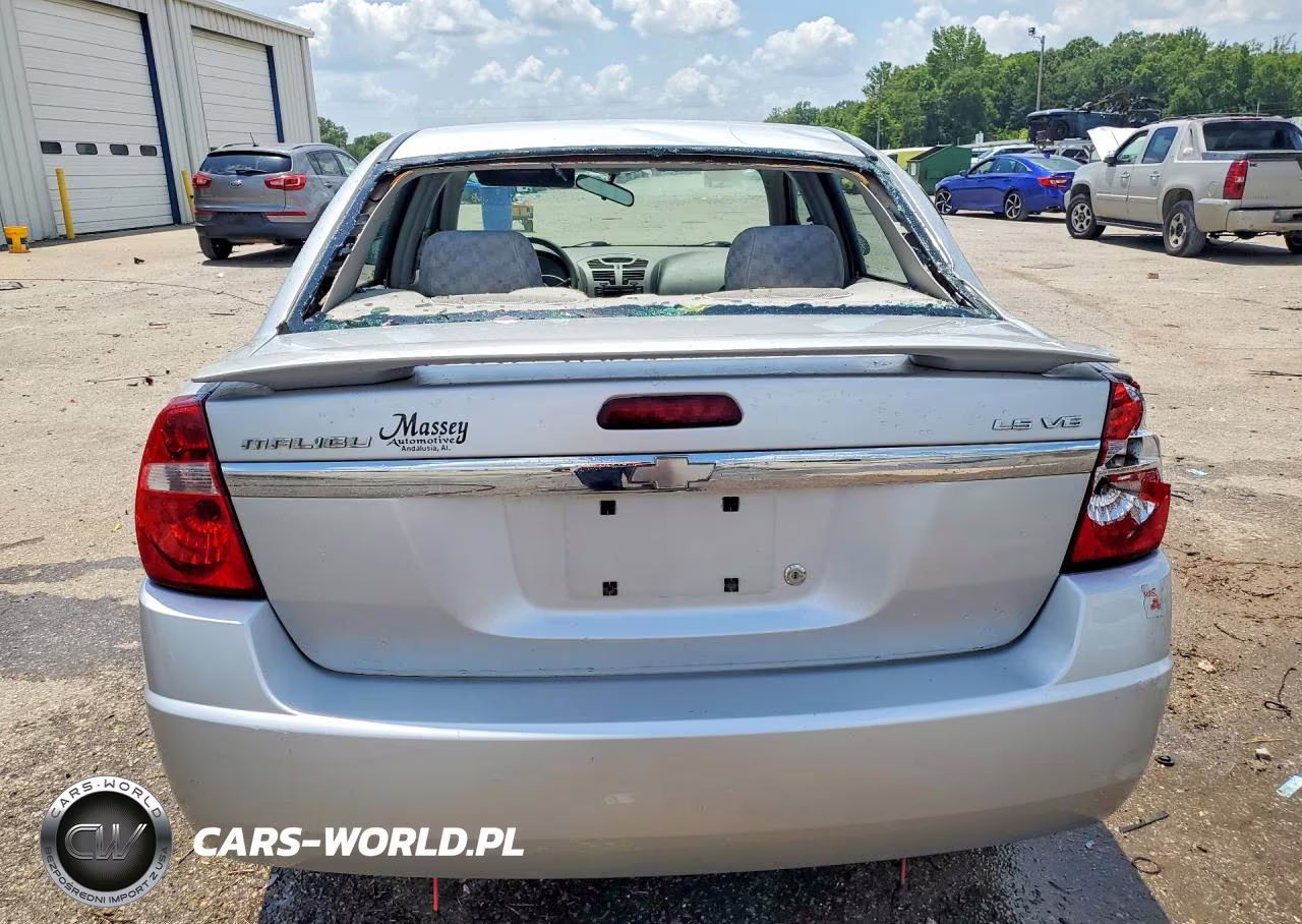 2004 Chevrolet Malibu Ls VIN:1G1ZT54854F104099 - 6