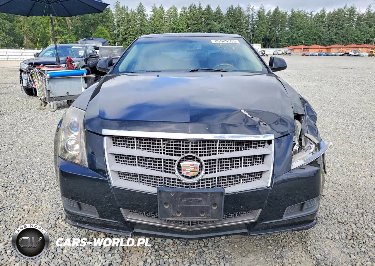 2011 Cadillac Cts Luxury Collection VIN:1G6DG5EY7B0131392 - 5