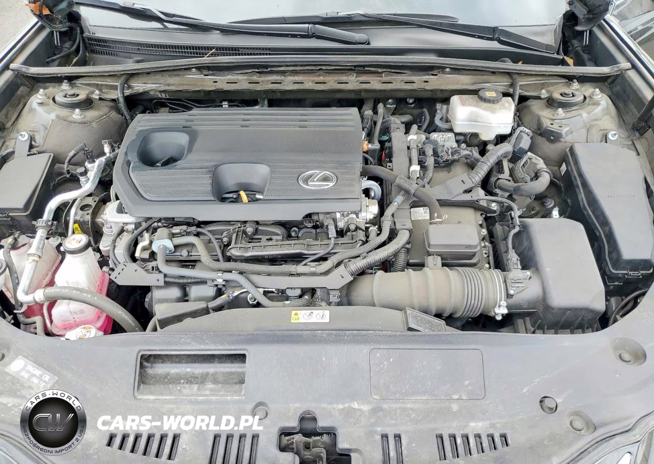 2023 Lexus Es 300H Base VIN:58ADA1C12PU033131 - 11