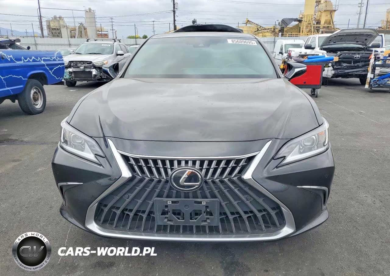 2023 Lexus Es 300H Base VIN:58ADA1C12PU033131 - 5