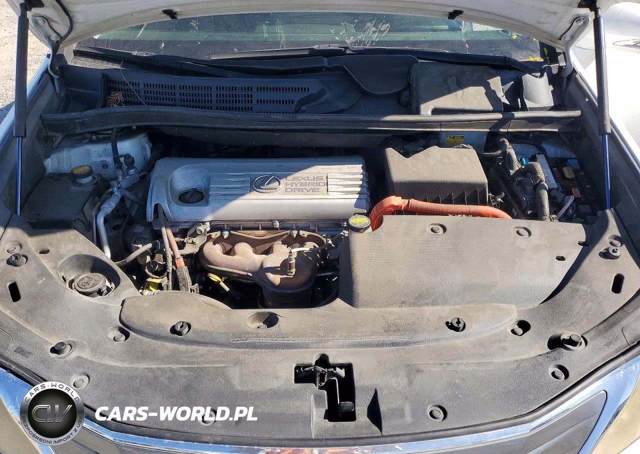 2010 Lexus Hs 250H VIN:JTHBB1BA0A2020784 - 11
