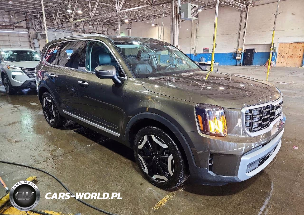 2025 Kia Telluride S VIN:5XYP6DGC2SG689945 - 4