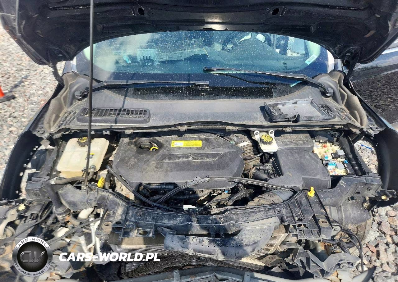 2013 Ford Escape Se VIN:1FMCU9GX9DUA04440 - 12