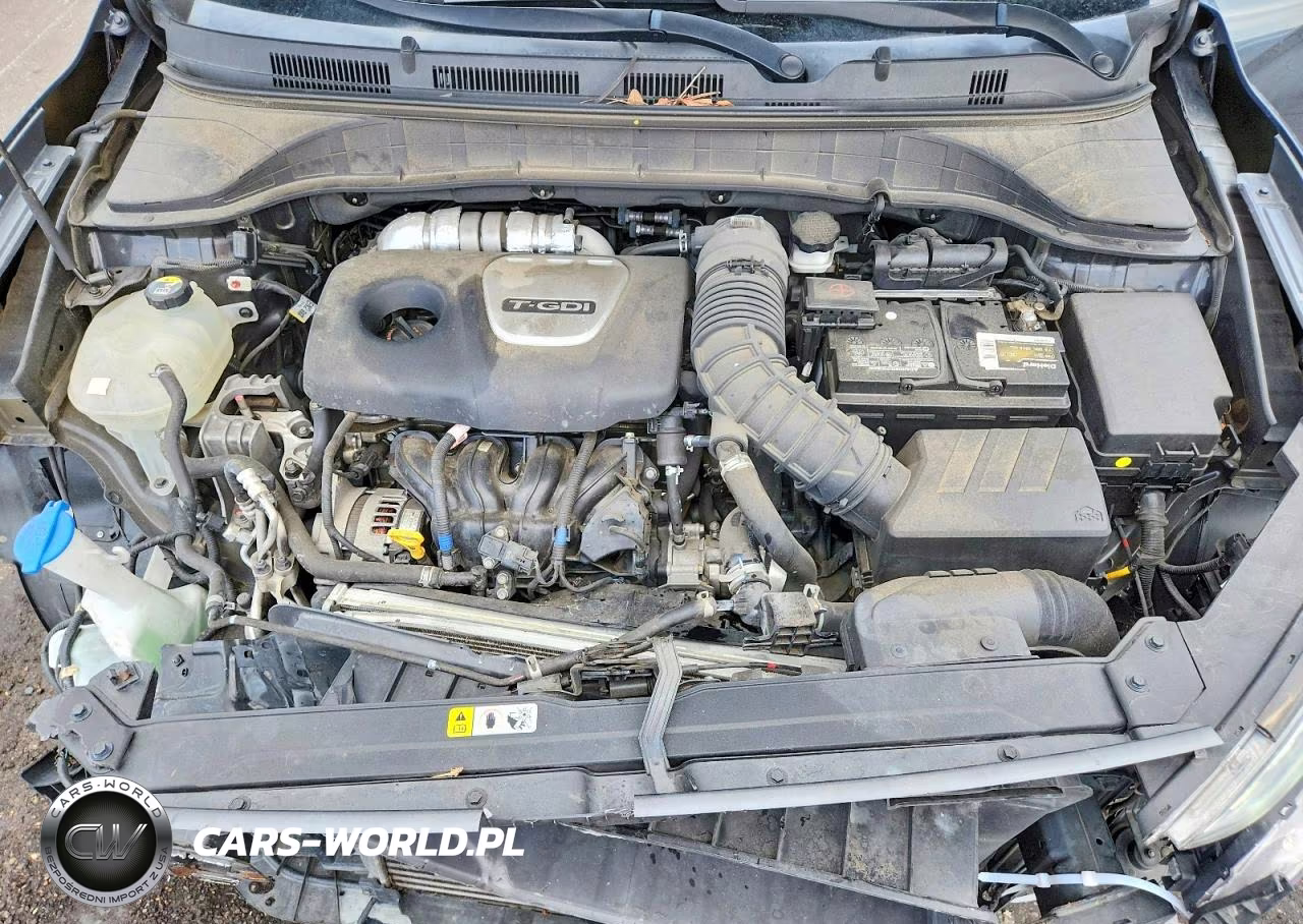 2019 Hyundai Kona Limited VIN:KM8K3CA54KU231616 - 12