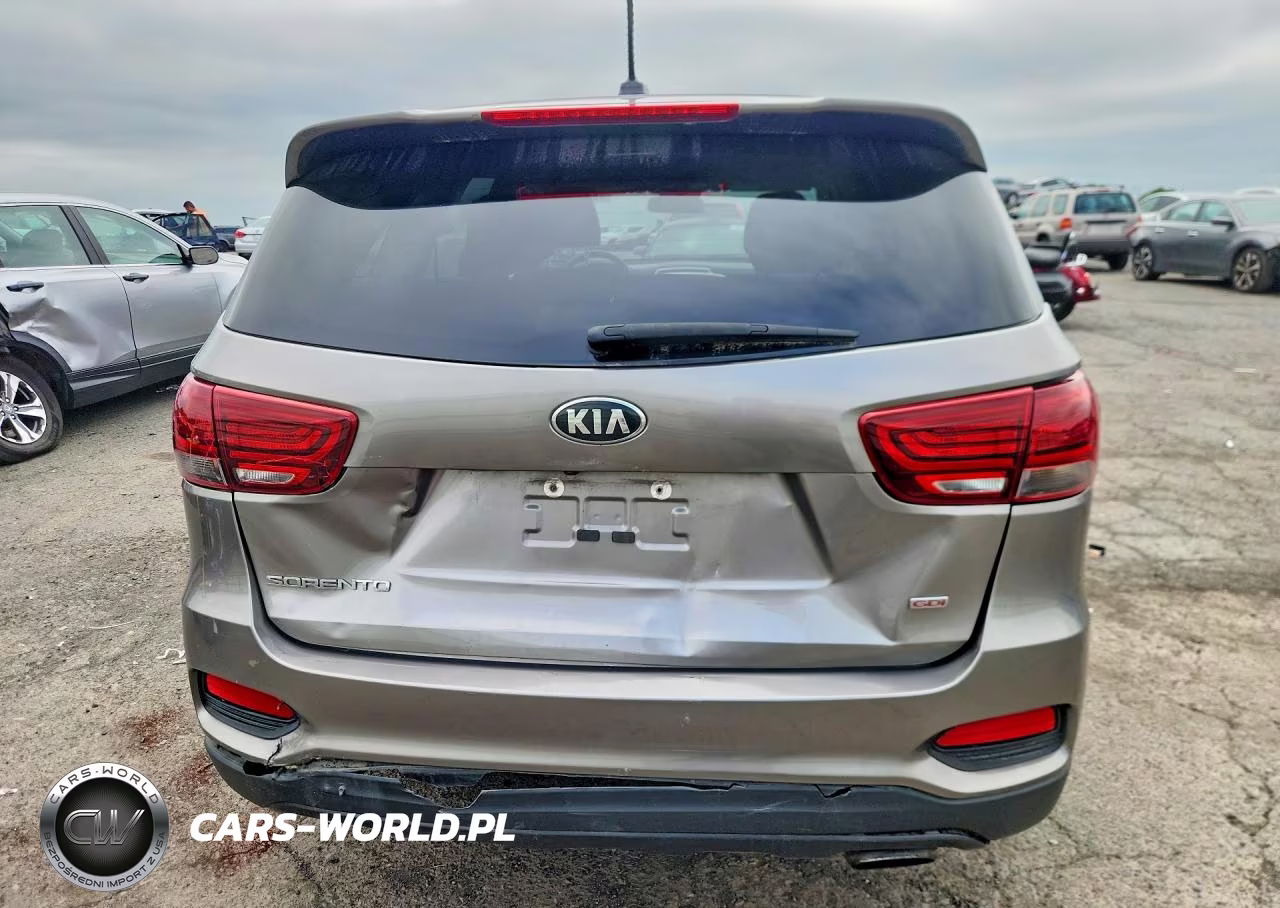 2019 Kia Sorento Lx VIN:5XYPGDA38KG536248 - 6