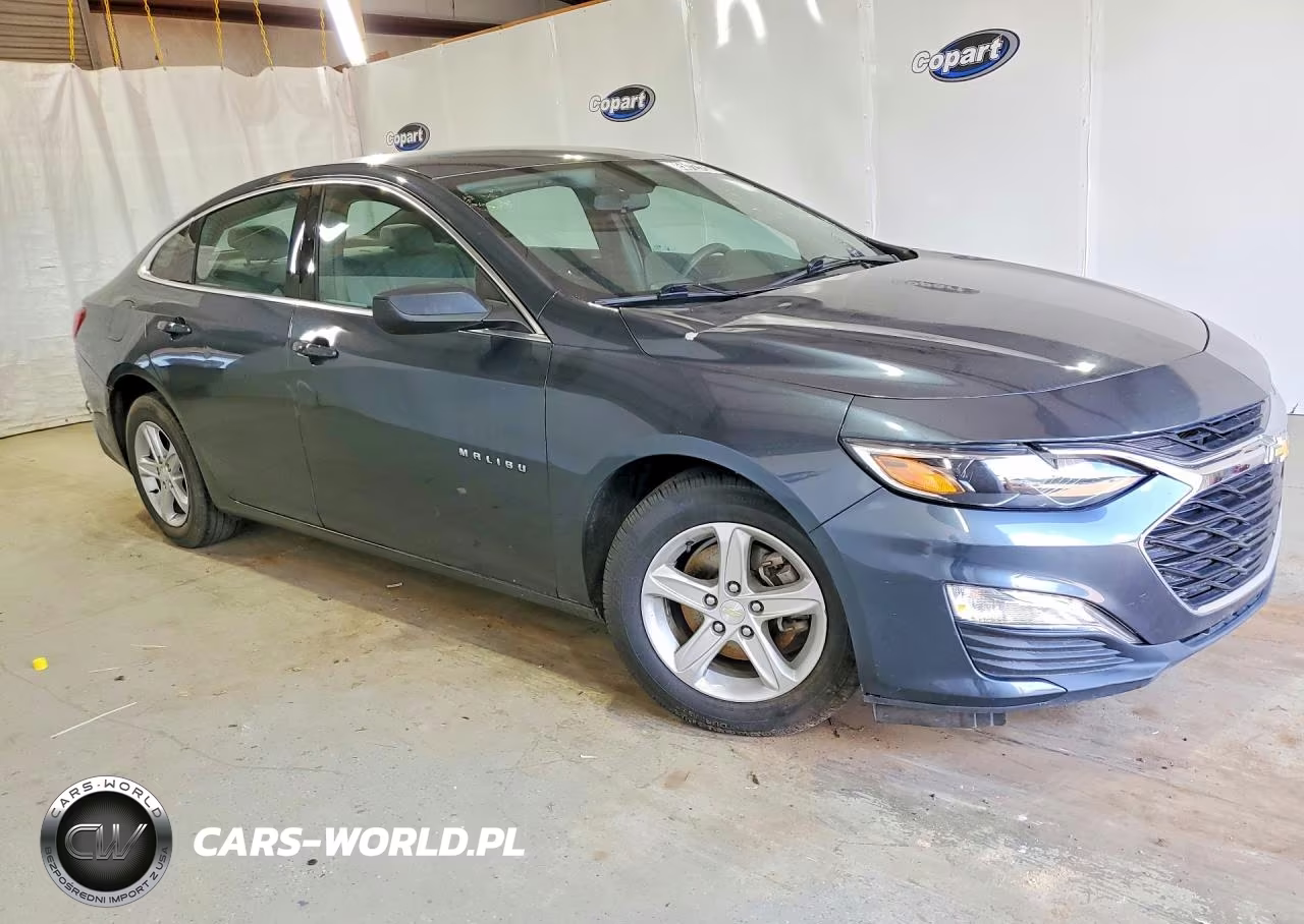 2019 Chevrolet Malibu Ls VIN:1G1ZB5ST2KF186669 - 4