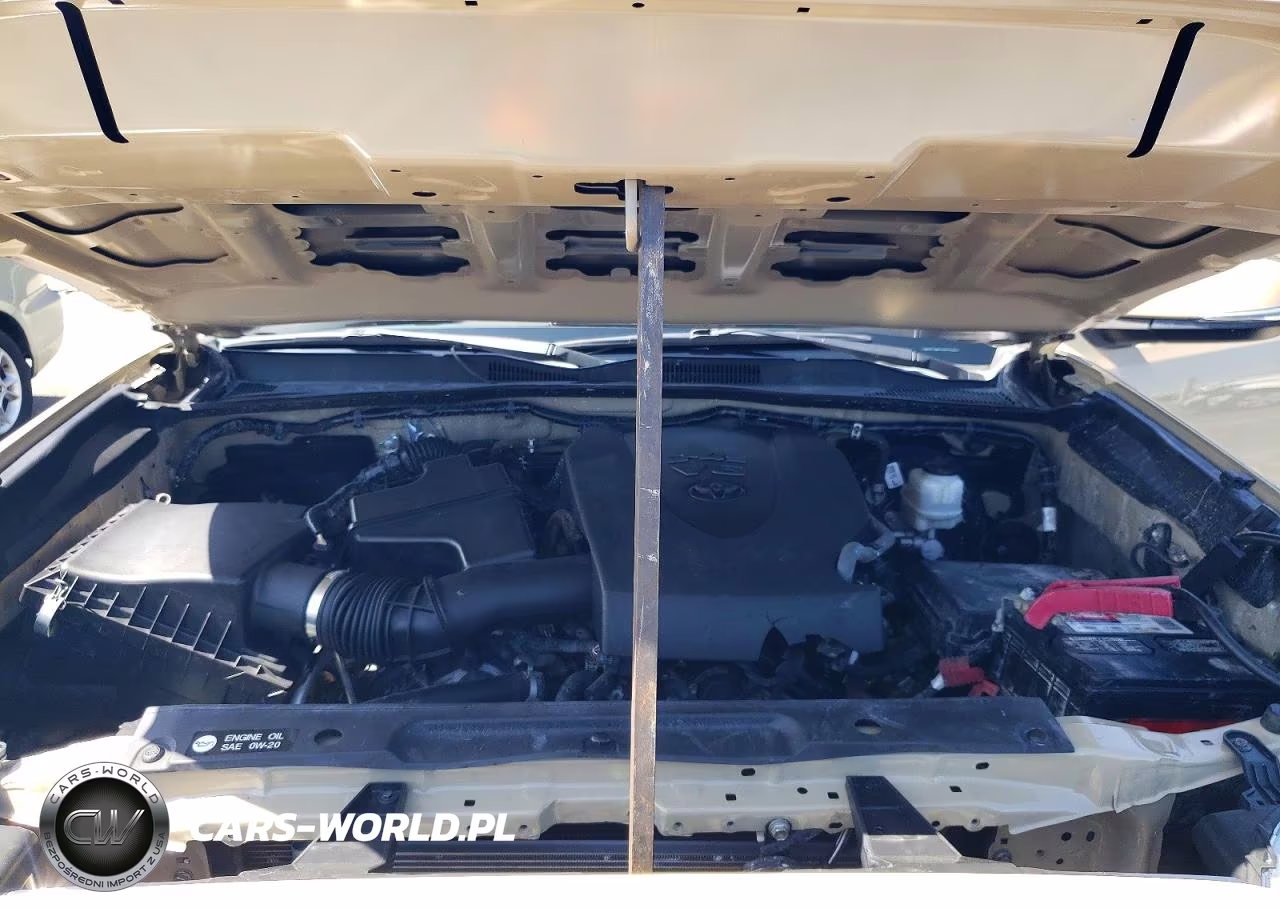 2019 Toyota Tacoma Trd Sport VIN:3TMBZ5DN3KM020065 - 11