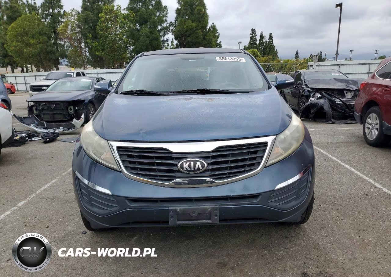 2013 Kia Sportage Lx VIN:KNDPB3A20D7521050 - 5