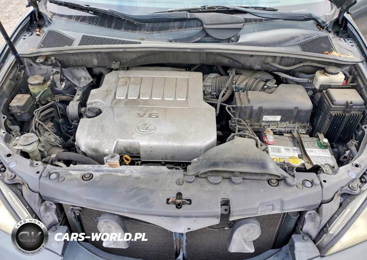 2007 Lexus Rx 350 VIN:2T2GK31U27C009628 - 12
