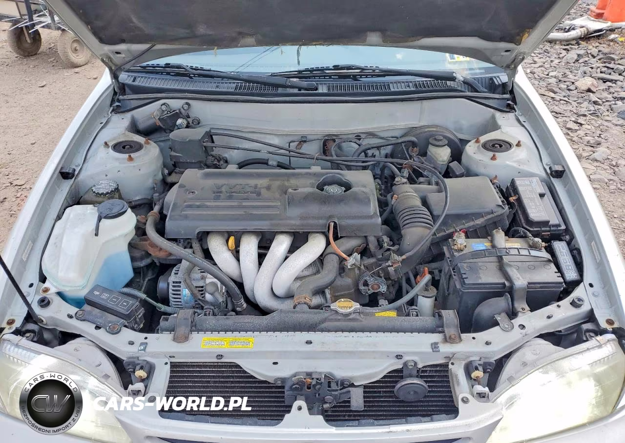 2000 Toyt Corolla VIN:2T1BR18E1YC267329 - 11