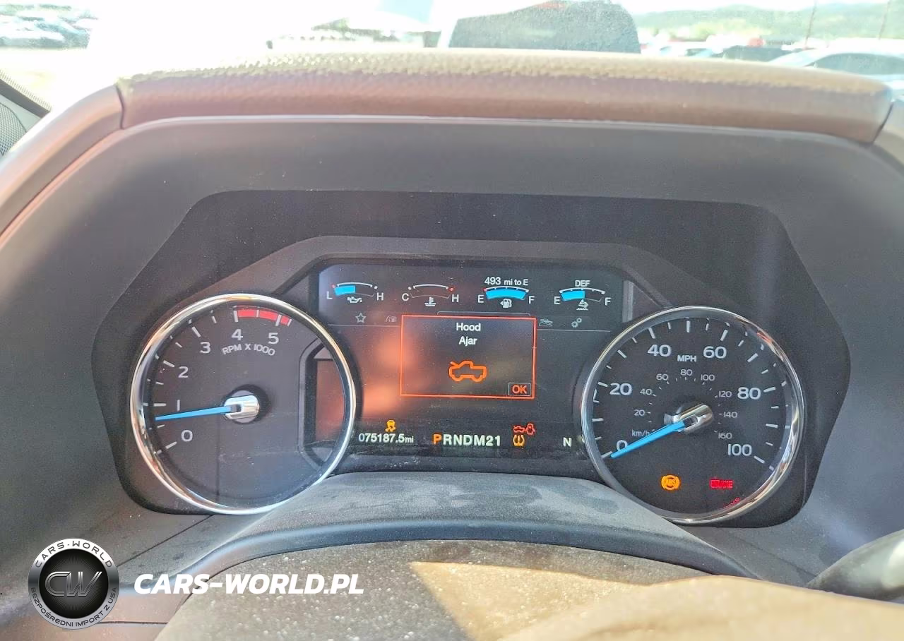 2019 Ford F350 Super Duty VIN:1FT8W3DT8KED84378 - 9