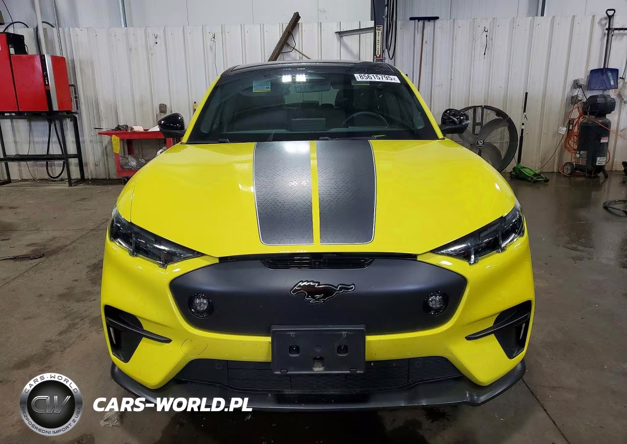 2024 Ford Mustang Mach-E Gt VIN:3FMTK4SX3RMA11685 - 5