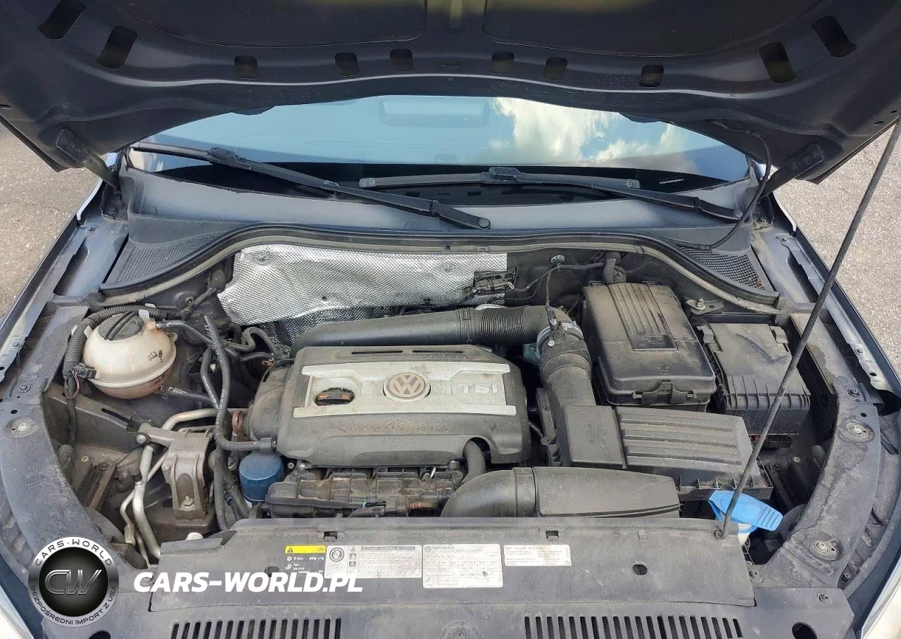 2013 Volkswagen Tiguan S-Se-Sel VIN:WVGAV3AX5DW589595 - 12