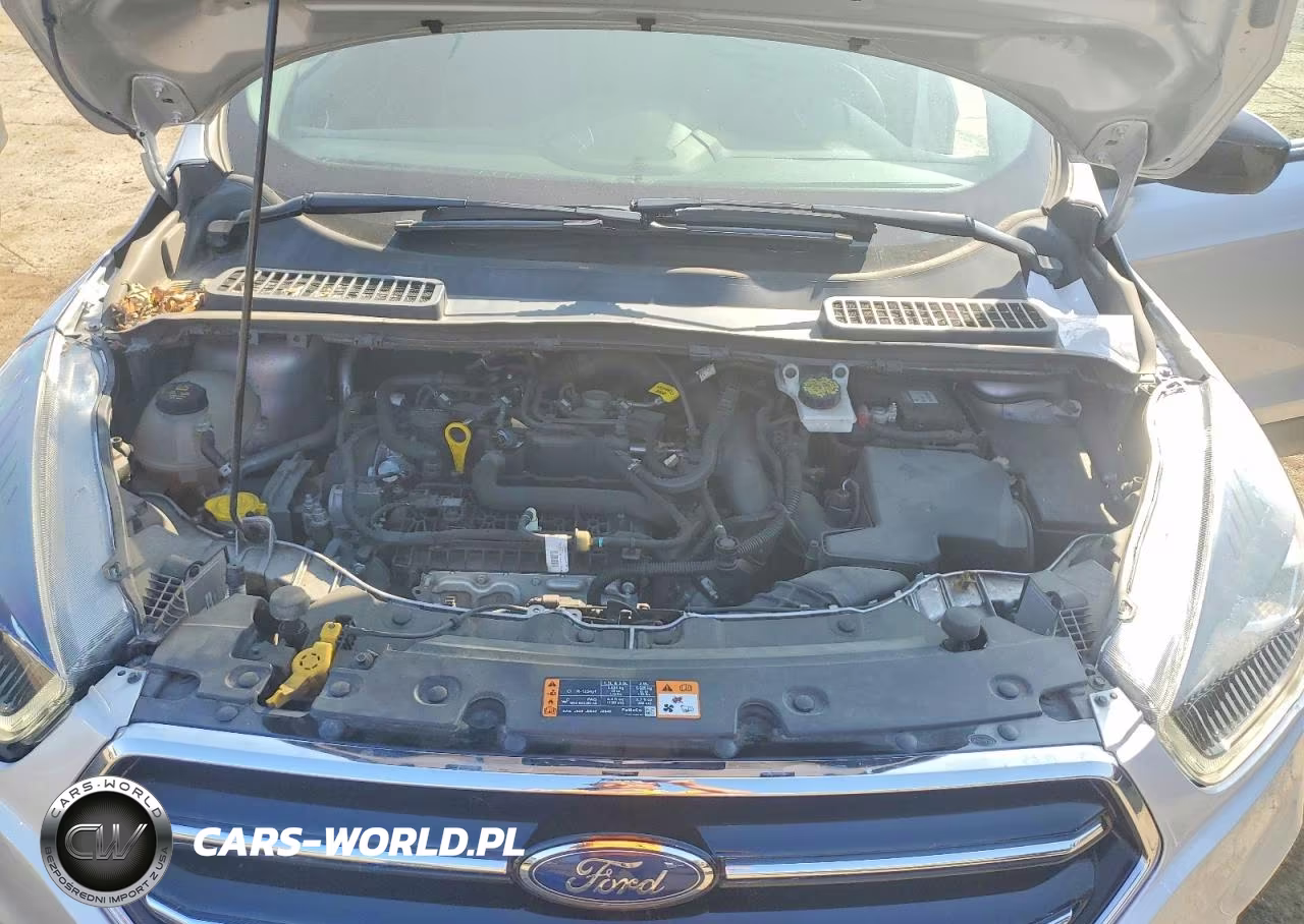 2019 Ford Escape Se VIN:1FMCU9GD6KUA15866 - 12