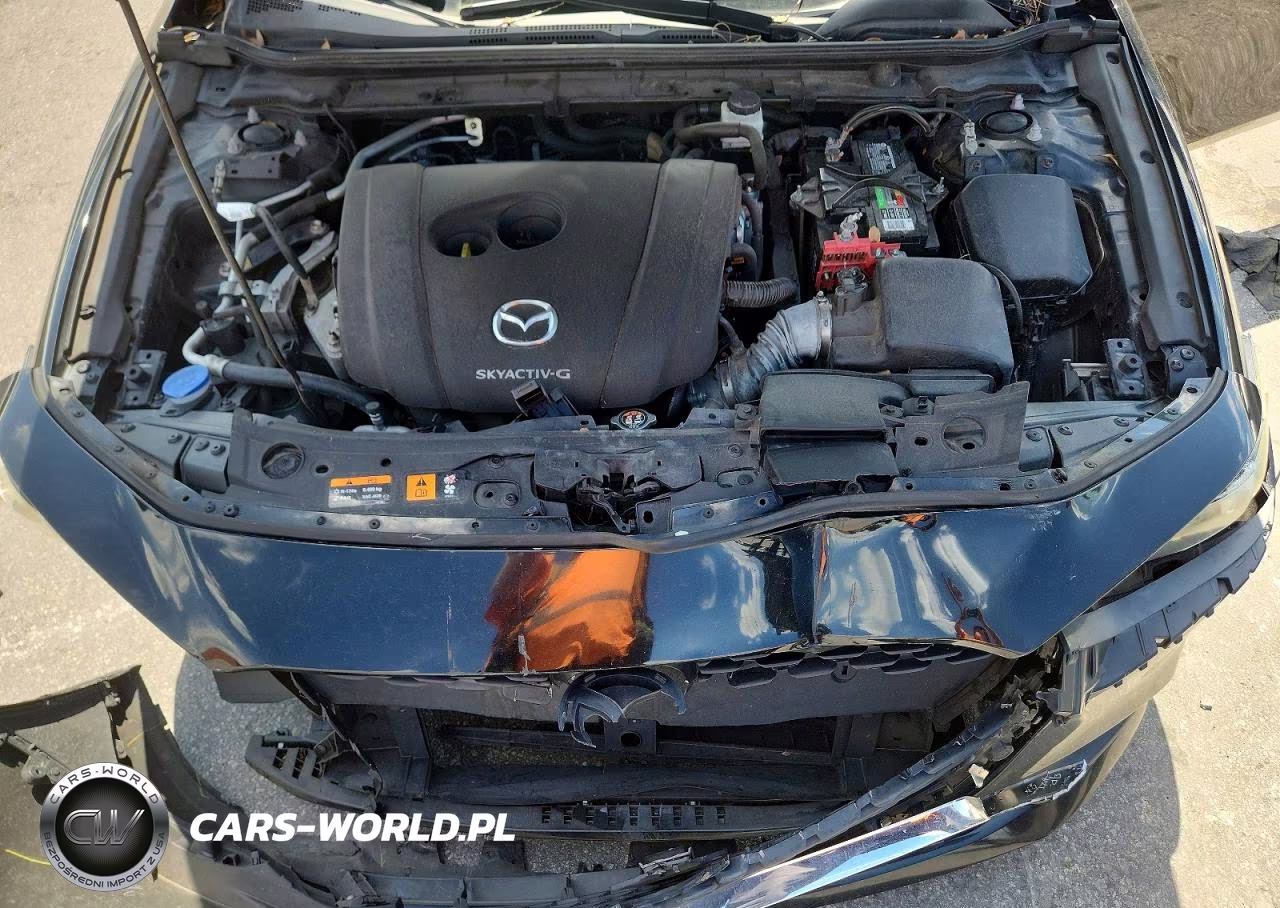 2019 Mazda 3 VIN:3MZBPABL1KM110456 - 11